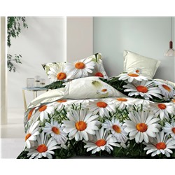 Постельное белье Зима-Лето из поплина с окантовкой ЗЛПО30-1480