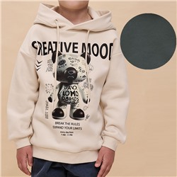 BFNK3362 толстовка для мальчиков (1 шт в кор.)