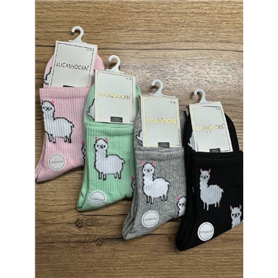 Носки, 4 пары