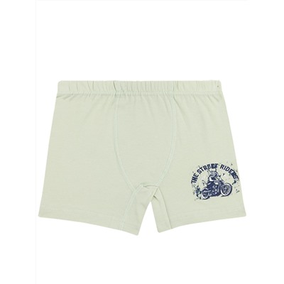 3548 Боксеры для мальчиков многоцвет (BAYKAR)