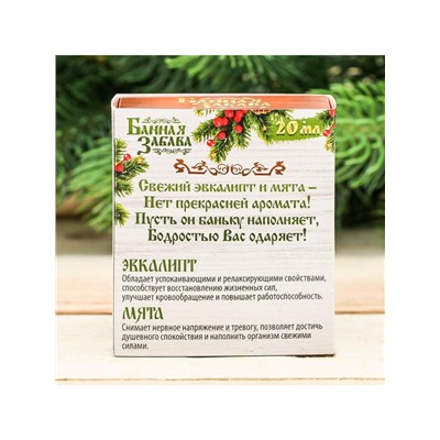 Новогодний набор эфирных масел «Крепкого здоровья в новом году!», эвкалипт, мята, 2 шт. по 10 мл
