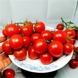 Помидоры СКАЗКА СКАЗОК (10 семян)