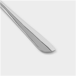 Ложка десертная из нержавеющей стали Magistro «Эми», длина 19.5 см, цвет серебряный