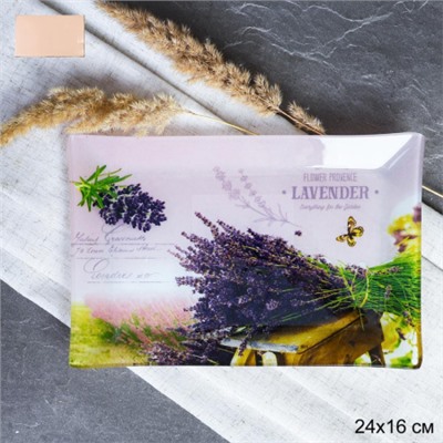 Блюдо прямоугольное 24x16 см / S322416 BB037 GREY Лаванда / уп 6/48/ цветная коробка