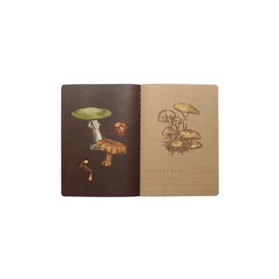 Тетрадь 40л кл BrunoVisconti. FLORA.Грибная феерия
