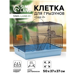 Клетка для грызунов "Сеня 2", 50 x 37 x 37 см, микс цветов