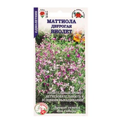 Семена Маттиола двурогая «Виолет», 0.5 г, «Золотая Сотка Алтая»
