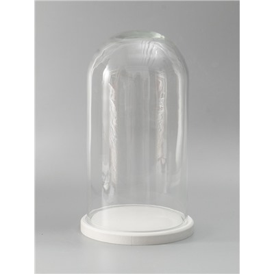 УЦЕНКА Стеклянный купол - клош на деревянной подставке «Венсан», 30×15 см, белый