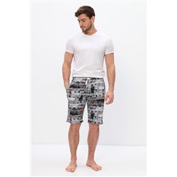 Шорты мужские Эван Арт. 10186