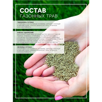 Газонная травосмесь "Быстрый газон", 1 кг
