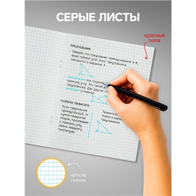 Комплект тетрадей из 4 штук, 96 листов в клетку Calligrata "Африка", обложка мелованный картон, блок №2, белизна 75% (серые листы)