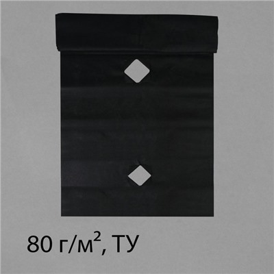 Материал мульчирующий, с перфорацией, 10 × 0,8 м, плотность 80 г/м², спанбонд с УФ-стабилизатором, чёрный, Greengo, Эконом 30%
