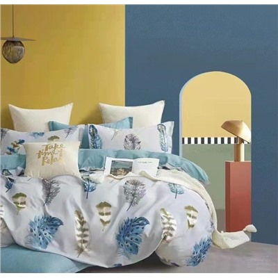 Постельное белье из поплина cтандарт П-2738