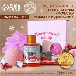 Подарочный набор новогодний «Машинка»: гель для душа 100 мл, бомбочка для ванны 130 г, мочалка для тела, URAL LAB