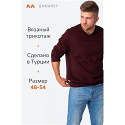 Мужской джемпер с V-вырезом Happyfox