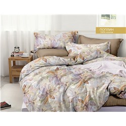 Постельное белье из поплина cтандарт ПВ29-1473