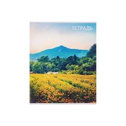 Набор тетрадей, 96 листов в клетку, Calligrata «Природа», серые листы, 4 штуки