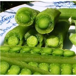 Снеп Горох — Snap Peas (10 семян)
