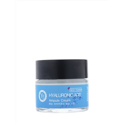 Крем для лица Ye Gam Top Face Hyaluronic Acid 70 gКорейская косметика по оптовым ценам. Популярные бренды Корейской косметалогии в интернет магазине ooptom.ru.