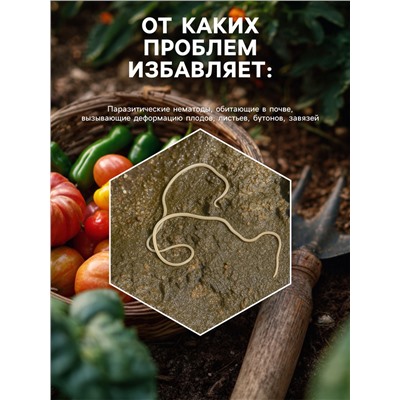 Средство от болезней растений "Флагрин-Д" (Нематодин), 100 г