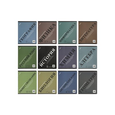 Комплект 12 предметных тетрадей 48 листов, справочная информация, 60 г