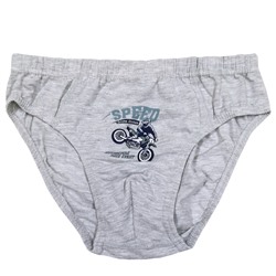 3377 Трусы для мальчика многоцвет (BAYKAR)