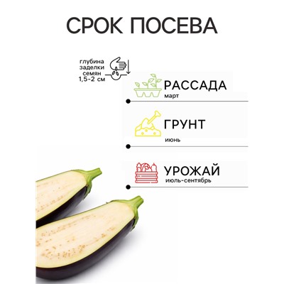 Семена Баклажан «Пеликан», F1, 0.3 г, «Гавриш»