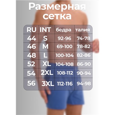 Мужские трусы семейные Berrak
