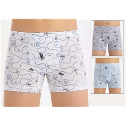 3650 Боксеры для мальчиков многоцвет (BAYKAR)