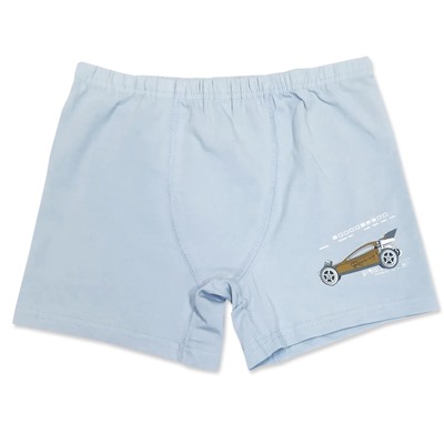 3662 Боксеры для мальчиков многоцвет (BAYKAR)