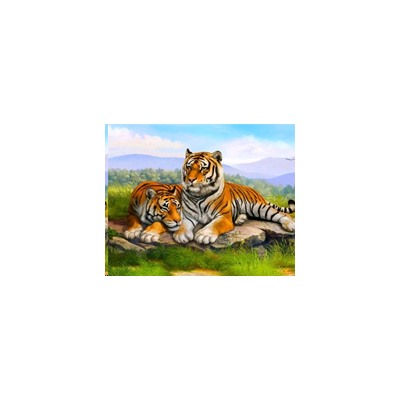 Алмазная мозаика на подрамнике 40x50 Тигры / YSH0018 /уп 30/полное заполнение