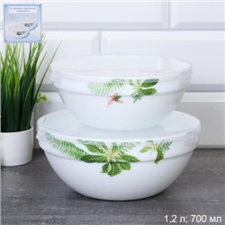 Салатник с крышкой 2 предмета / GRAY-SW2A (6750) /уп 18/ Тропики