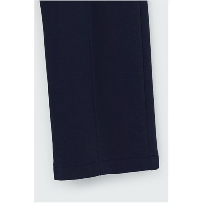 VERY NEAT Брюки ЕВТ 4052/24