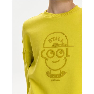 PELICAN Толстовка BFN3387U