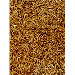 Газон медленнорастущий «Лилипут», 0.5 кг