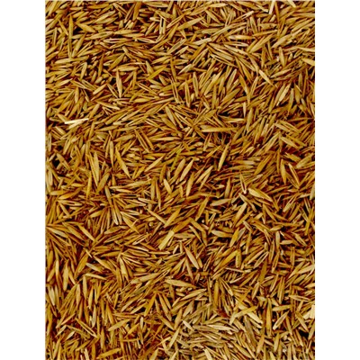 Газон медленнорастущий «Лилипут», 0.5 кг