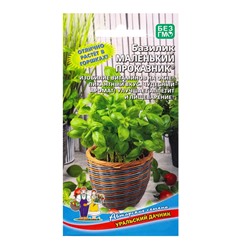 Семена Базилик Маленький проказник (УД) Е/П , Е/П,  0,25 г.