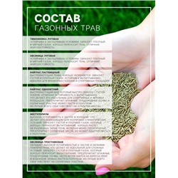 Семена газонной травы «Футбольный ковер», 1,8 кг