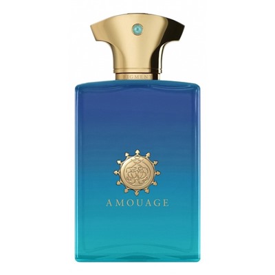 AMOUAGE FIGMENT edp (m) 100ml TESTER