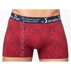 SD2055-3 Трусы мужские Salvador Dali боксеры