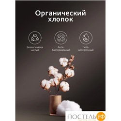 CASSIA АЛЬТАН К-т Наволочек 70х70-2, 2 пр., хл./сатин