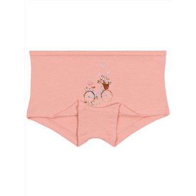 5844 Трусы шорты для девочки многоцвет (BAYKAR)