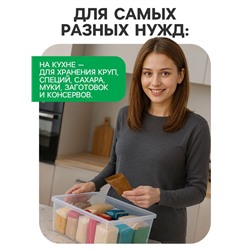 Ящик пластиковый для хранения, с крышкой, объём — 10 л, прозрачно-матовый