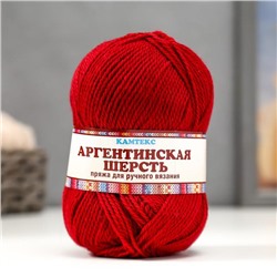 Пряжа для вязания спицами, крючком «Камтекс. Аргентинская шерсть», 100% импортная полутонкая шерсть 200 м/100 г, (091 вишня)