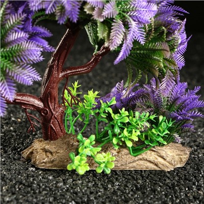 Растение для аквариума и террариума, 11×21 см