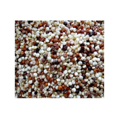 Киноа (Quinoa) — Зерновая Лебеда — Смесь Раннеспелых Сортов (300 семян)