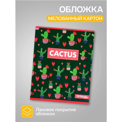 Набор тетрадей 36 листов в клетку, Calligrata «Кактус», 5 штук