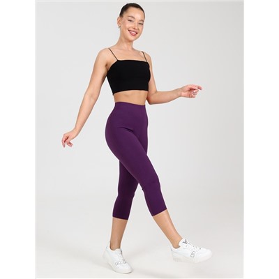 Митэ - бриджи баклажан