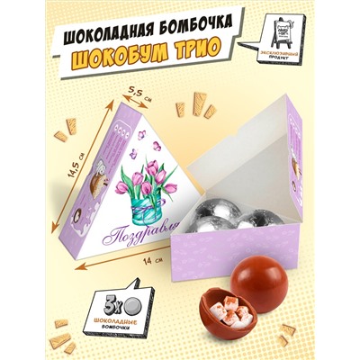 Набор шоколадных бомбочек с маршмеллоу, Шокобум ТЮЛЬПАНЫ, БАБОЧКИ, 90 гр., ТМ Chokocat