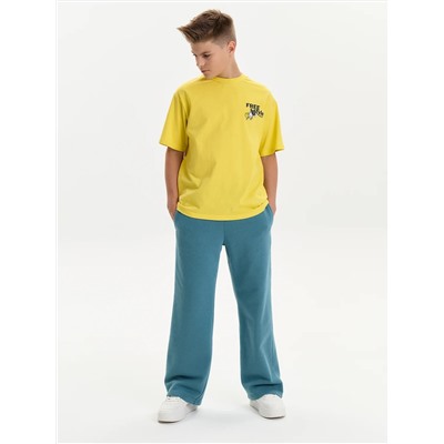 PELICAN Брюки BFPQ3387